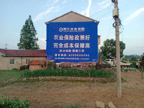 洪江墙体广告为何受追捧？